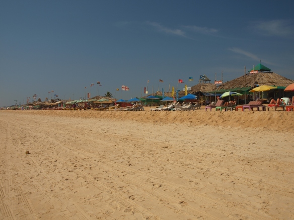 Candolim beach Goa India