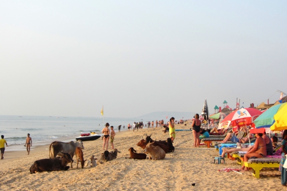 Vaddie beach Goa India